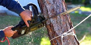Best Lawn Mowing  in Staic, CA