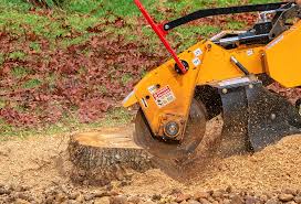 Best Storm Damage Tree Cleanup  in Staic, CA