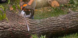 Best Landscape Design and Installation  in Staic, CA